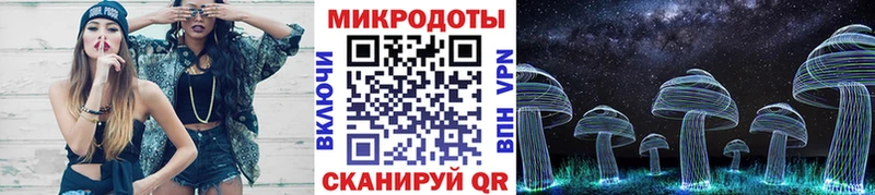 Псилоцибиновые грибы MAGIC MUSHROOMS  сколько стоит  кракен ТОР  Серафимович 